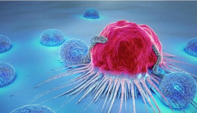 H διατροφή που «εξοντώνει» τα καρκινικά κύτταρα